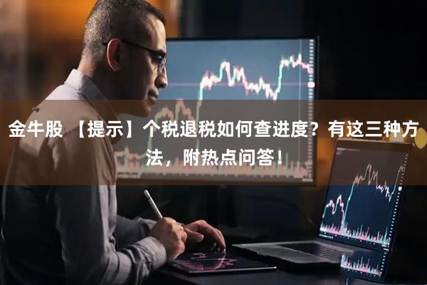 金牛股 【提示】个税退税如何查进度？有这三种方法，附热点问答！
