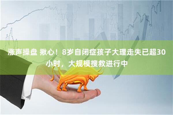 涨声操盘 揪心！8岁自闭症孩子大理走失已超30小时，大规模搜救进行中