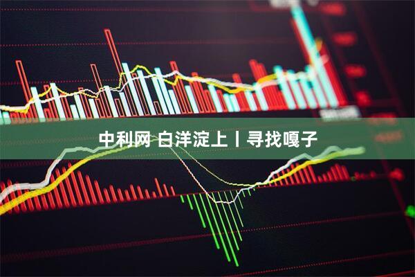 中利网 白洋淀上丨寻找嘎子