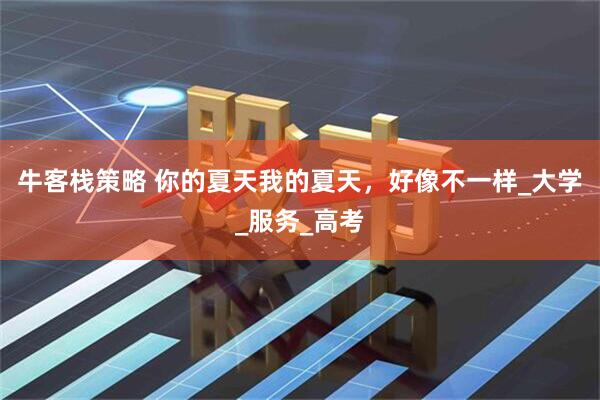 牛客栈策略 你的夏天我的夏天,好像不一样_大学_服务_高考